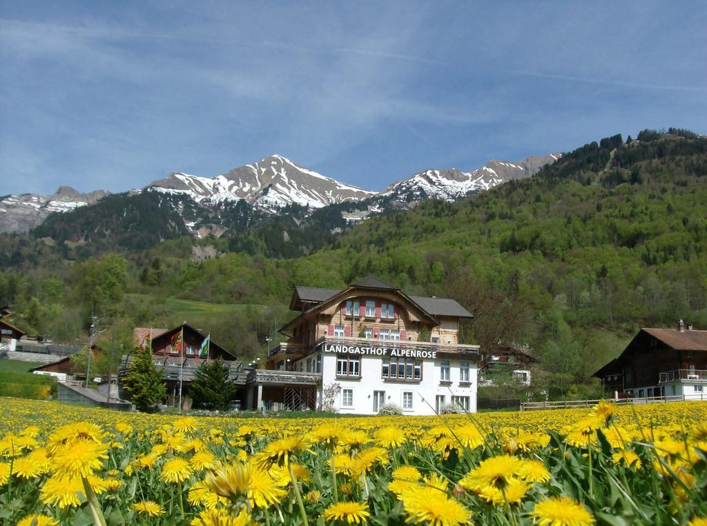 Hotel Alpenrose Beim Ballenberg Hofstetten bei Brienz ภายนอก รูปภาพ