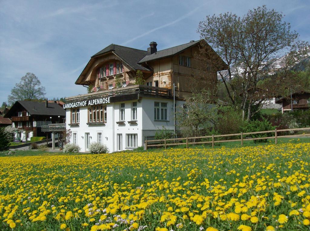 Hotel Alpenrose Beim Ballenberg Hofstetten bei Brienz ภายนอก รูปภาพ